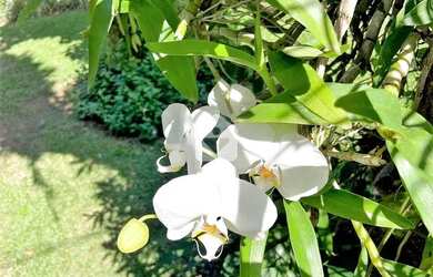 Imagem: A casa possui 4 Dormitórios, 5 Banheiros, 2 Vagas na garagem