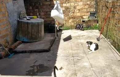 Imagem 8: Casa em Outeiro. 1 Vaga na garageme2 Dormitórios