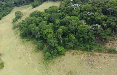 Imagem 4: 2449 - Ótima Fazendinha de 32 HA, limpa formada, em ótimo local com...
