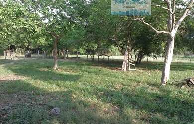 Imagem 5: Fazenda 2.180 hectares Pantanal Alto Região do Mimoso