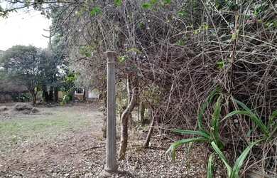 Imagem 11: Terreno à venda em Campinas, Parque Xangrilá, com 1000 m², Parque Xangrilá