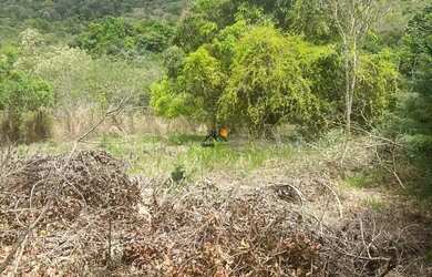 Imagem 11: Lote - Condomínio Paragem Do Tripui