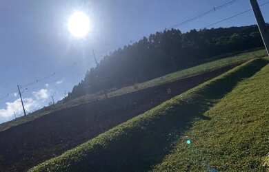 Imagem 4: Terreno à venda no Pinhal Alto. Nova Petrópolis RS. REF 1706