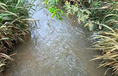 Imagem 4: Fazenda em campina verde 90 lavoura serve