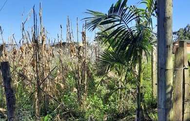 Imagem 5: terreno em São João do Sul SC, na Sociedade Glorinha