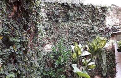 Imagem 9: Casa à venda, 130 m² por R$ 639.000,00 - Casa Verde - São Paulo/SP