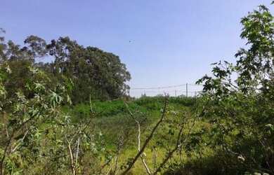 Imagem 6: Área, 23000 m² - venda por R$ 23.000.000,00 ou aluguel por R$ 50.000,00/mês...