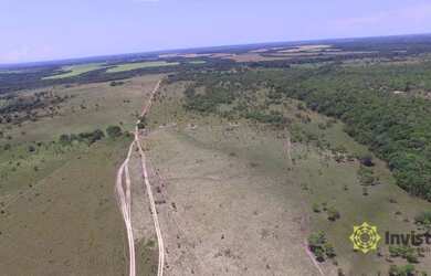 Imagem: A fazenda possui 40000000m² de Área e está localizado em