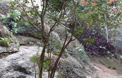 Imagem 7: Casa com 4 dormitórios à venda por R$ 1.150.000 - Pendotiba - Niterói/RJ