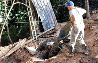 Imagem 11: Excelente Terreno no São Fernando Residência, 457m, em Barueri