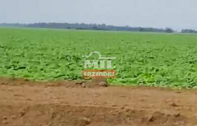 Imagem 6: Área Total 1.500 Alqueires 7.260 Há Região vale do Araguaia - TO