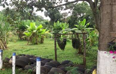 Imagem: A fazenda possui 2400m² de Área e está localizado em Conjunto