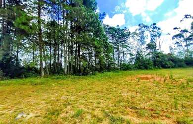 Imagem 15: Terreno à venda, 3000 m² por R$ 299.000,00 - Jardim das Garças - Santo...