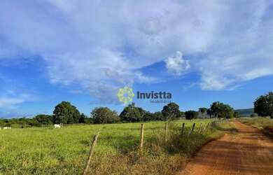 Imagem 4: Fazenda à venda, 2.463 Hectares em Aparecida do Rio Negro - TO