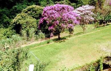 Imagem 1: Chacara em Santana de Parnaíba, 20 minutos de Centro de Barueri