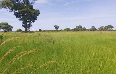 Imagem 14: Fazenda região de poconé