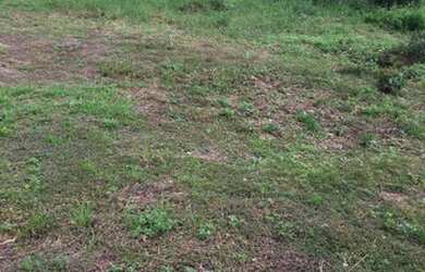 Imagem 3: Lote no vivenda verde. 