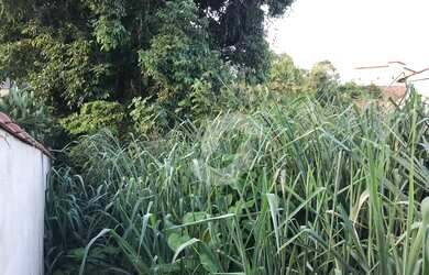 Imagem 9: Terreno à venda, 516 m² por R$ 75.000,00 - Jardim Atlântico Oeste Itaipuaçu...