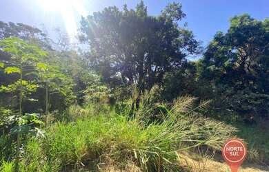 Imagem 3: Terreno à venda, 800 m² por R$ 130.000 - Alto dos Caiçaras - São Joaquim...