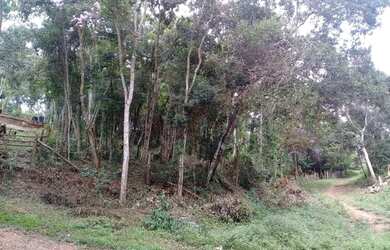 Imagem 1: Terreno à venda, 711 m² por R$ 90.000,00 - Jardim das Cerejeiras - Cotia/SP