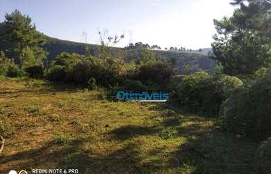 Imagem 14: Área à venda, 605000 m² por R$ 450.000,00 - Zona Rural - Itaperuçu/PR