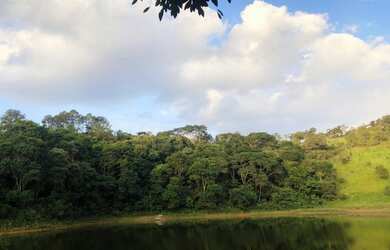 Imagem 11: sb- lote a venda. 