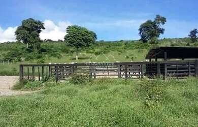 Imagem 12: Novo Cruzeiro - Fazenda - Zona Rural