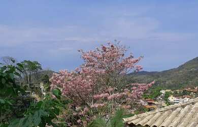 Imagem 2: Casa com 4 dormitórios à venda por R$ 1.150.000 - Pendotiba - Niterói/RJ
