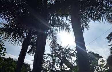 Imagem 11: Casa com 3 dormitórios, 72 m² - venda por R$ 970.000,00 ou aluguel por...