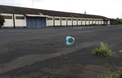 Imagem 10: Galpão industrial para locação, Adelino Simioni, Ribeirão Preto