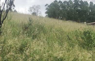 Imagem: O terreno possui 1.000m² de Área e está localizado em Centro