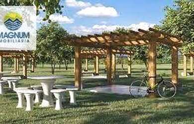 Imagem 3: Terreno à venda, 200 m² por R$ 105.000 - Fazenda Retiro Zona Rural -...