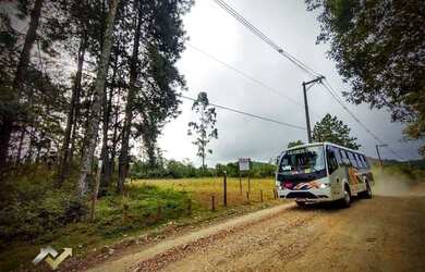 Imagem 10: Terreno à venda, 3000 m² por R$ 299.000,00 - Jardim das Garças - Santo...