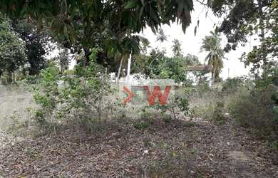 Imagem: O terreno possui 17.860m² de Área e está localizado em Boa