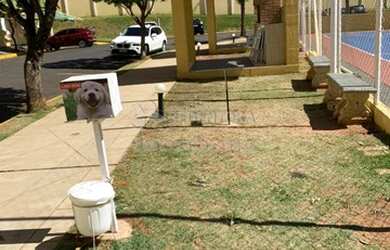 Imagem 5: São José do Rio Preto - Apartamento Padrão - Jardim Jandira