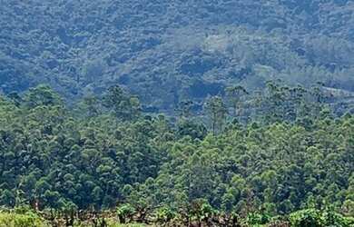 Imagem 16: Lote/Terreno para venda com 1000 metros quadrados em Vila Santista - Atibaia...