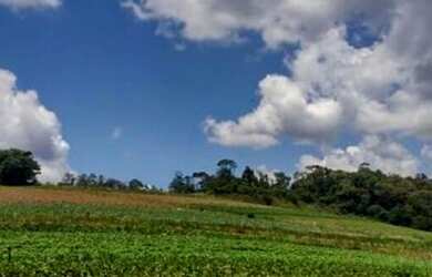 Imagem 8: Lote/Terreno para venda com 500 metros quadrados em Jardim Lavapes das...