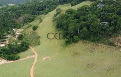 Imagem 3: 2449 - Ótima Fazendinha de 32 HA, limpa formada, em ótimo local com...