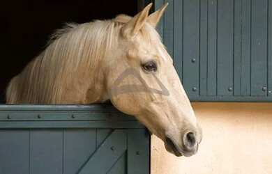 Imagem 5: terreno - Condomínio Quinta da Baroneza II - Bragança Paulista