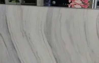 Imagem 3: Belo apto finamente mobiliado com 02 quartos sendo 01 suíte - Ingleses