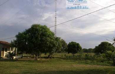 Imagem 2: Fazenda 2.180 hectares Pantanal Alto Região do Mimoso