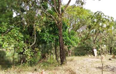 Imagem 12: Chácara em Aragoiania. 