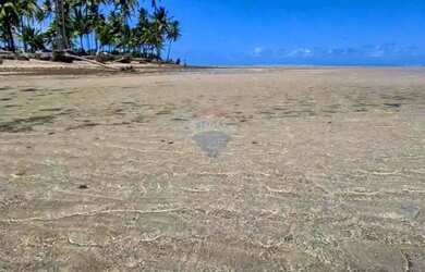 Imagem 15: Terreno incrível em Tatuamunha - Ótimo investimento