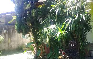 Imagem 13: Casa independente pertinho da praia de Jaconé. Área gourmet