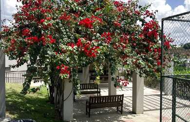 Imagem 10: Aluguel no papagaio, Canada houses