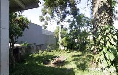 Imagem 11: Terreno ZR2 no Ecoville. Churrasqueira, 86m² de Área, 1 Banheiroe1 Dormitório