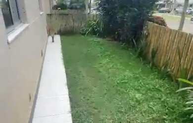 Imagem 5: Lindo apartamento garden 3/4 Reserva parque