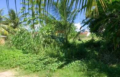 Imagem 13: Terreno incrível em Tatuamunha - Ótimo investimento