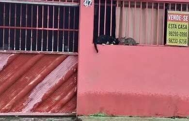 Imagem: A casa possui 3 Dormitórios, 2 Banheiros, 1 Vaga na garagem