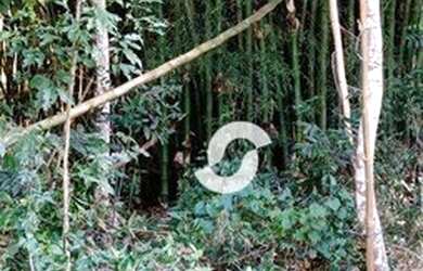 Imagem 3: Terreno à venda, 1000 m² por R$ 90.000,00 - Itaocaia Valley Itaipuaçu...